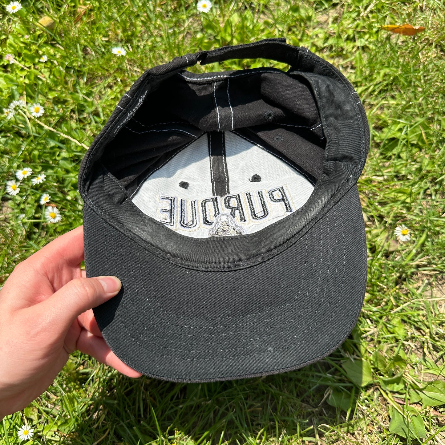 Purude University Cap (USA)
