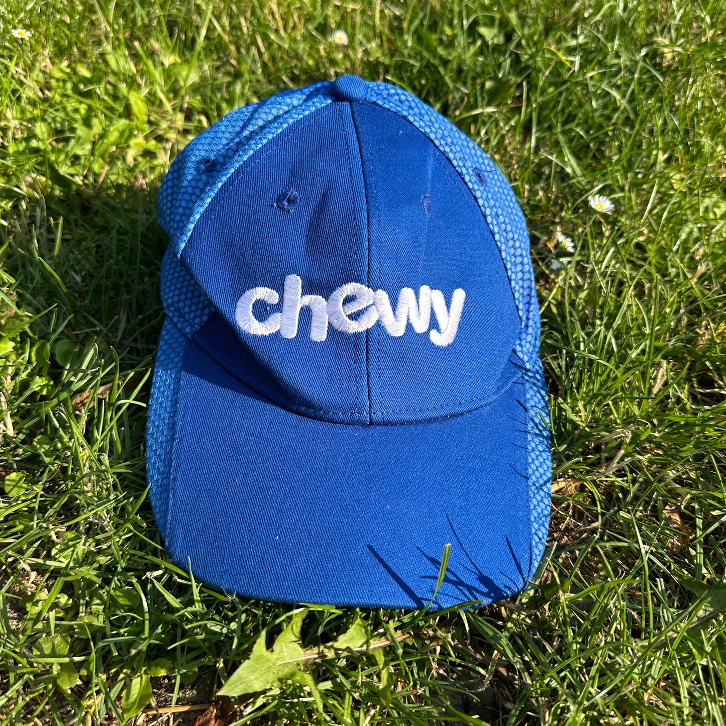 Chewy Pet Store Blue Cap (USA)