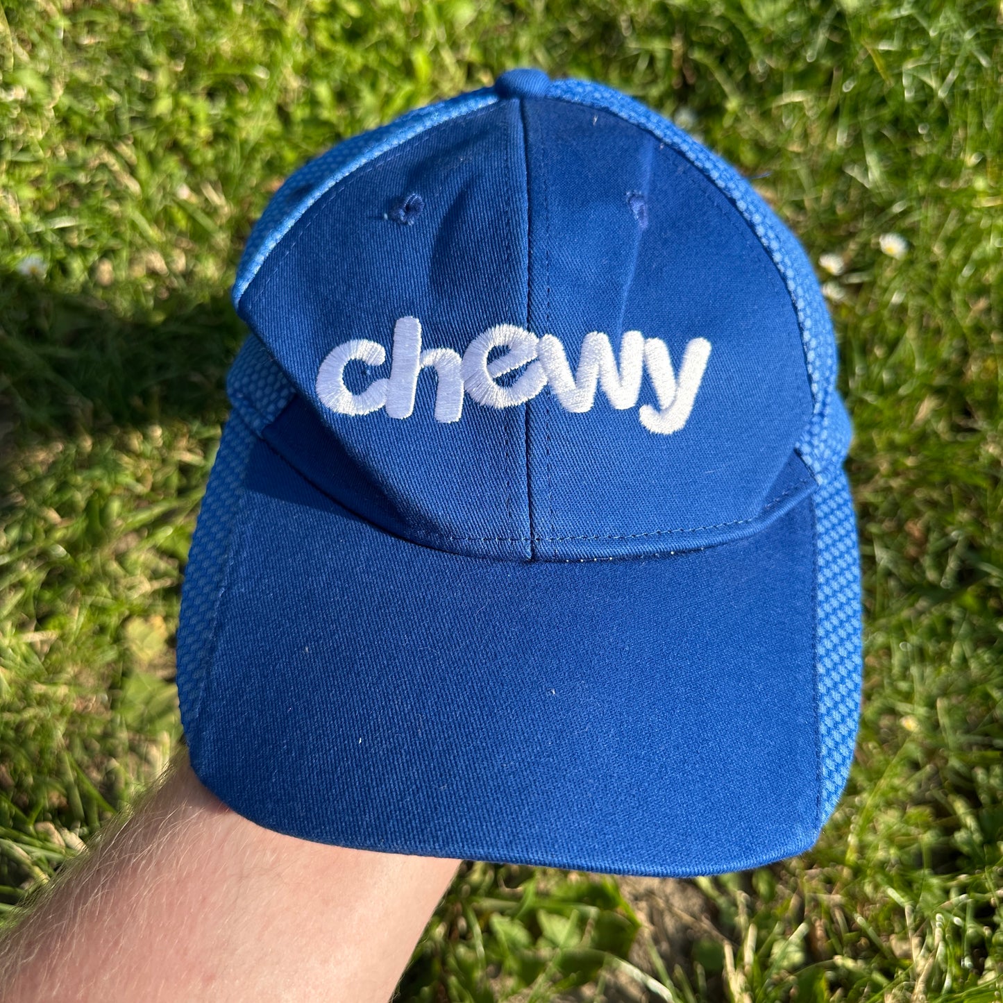 Chewy Pet Store Blue Cap (USA)