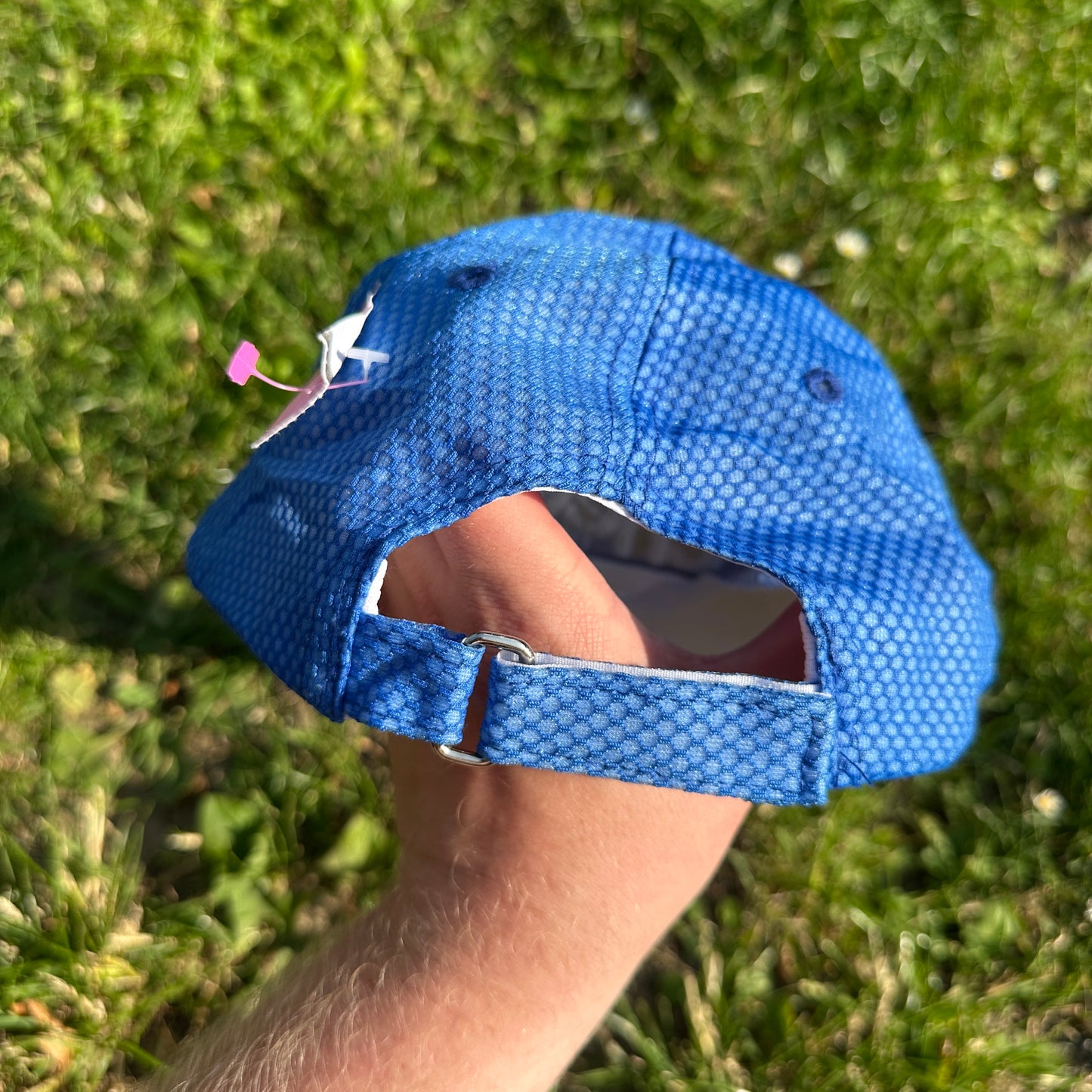 Chewy Pet Store Blue Cap (USA)