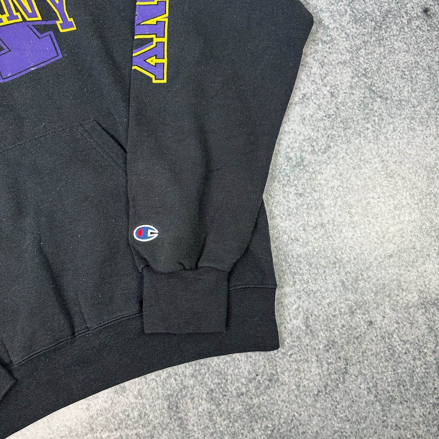 Vintage Ualbany Champion College Hoodie Schwarz (M)