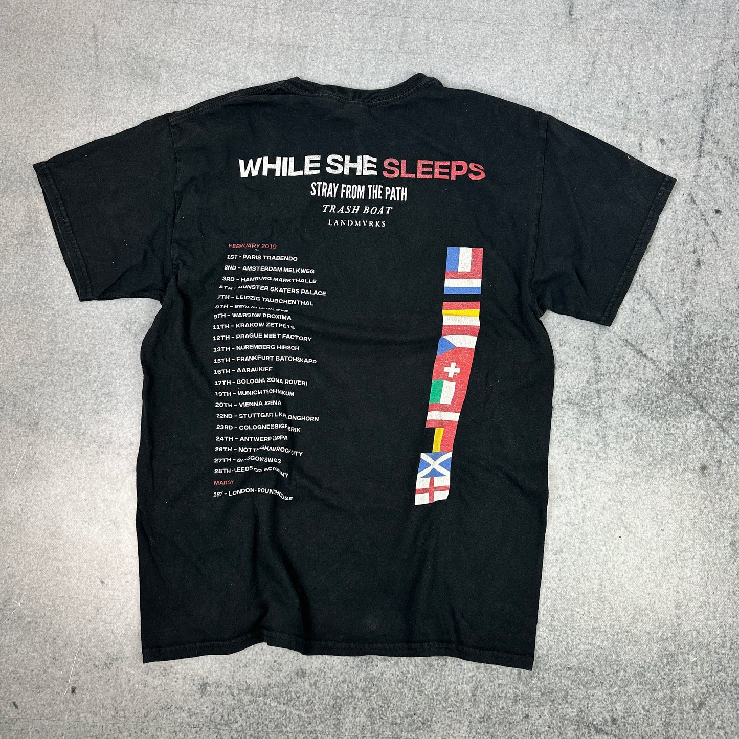 While She Sleeps Bandshirt Schwarz (L)