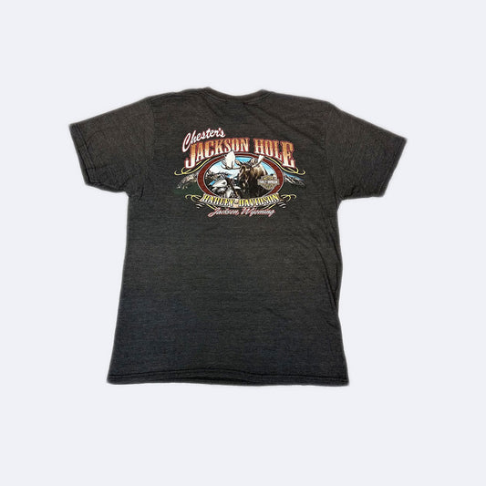 Harley Davidson Jackson Hole T-Shirt Grau (XL) 2010