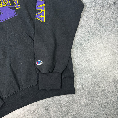 Vintage Ualbany Champion College Hoodie Schwarz (M)